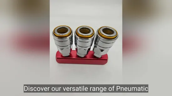Factory Wholesales Fast Connect Pneumatic Hose Fitting